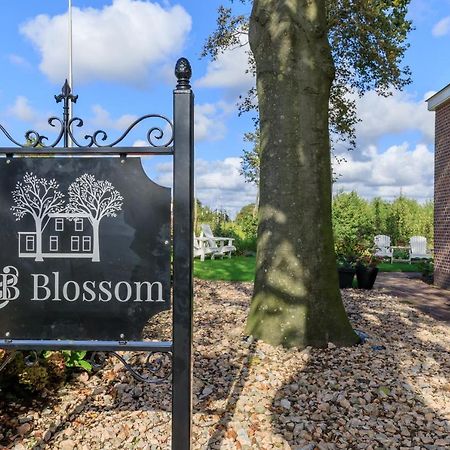 B&B Blossom Ліссе Екстер'єр фото